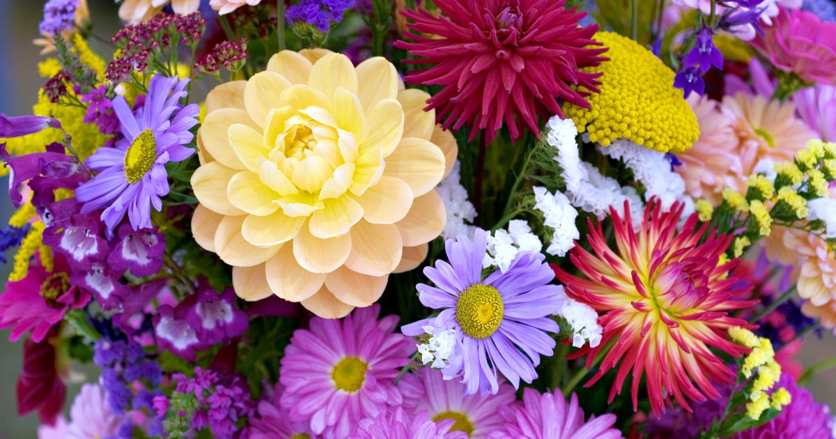 Ready to take your business to the next level? 📈 
We currently have a retail property available to rent in Carlisle. Could this be a step forward for your business? 
Call us to find out more about the premises 📲 01228 520352