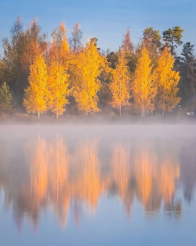 MARY_ESMAEELI's tweet photo. 🧡
Happy Friday 

#nature #pho https://t.co/Y7IJV0NpGi