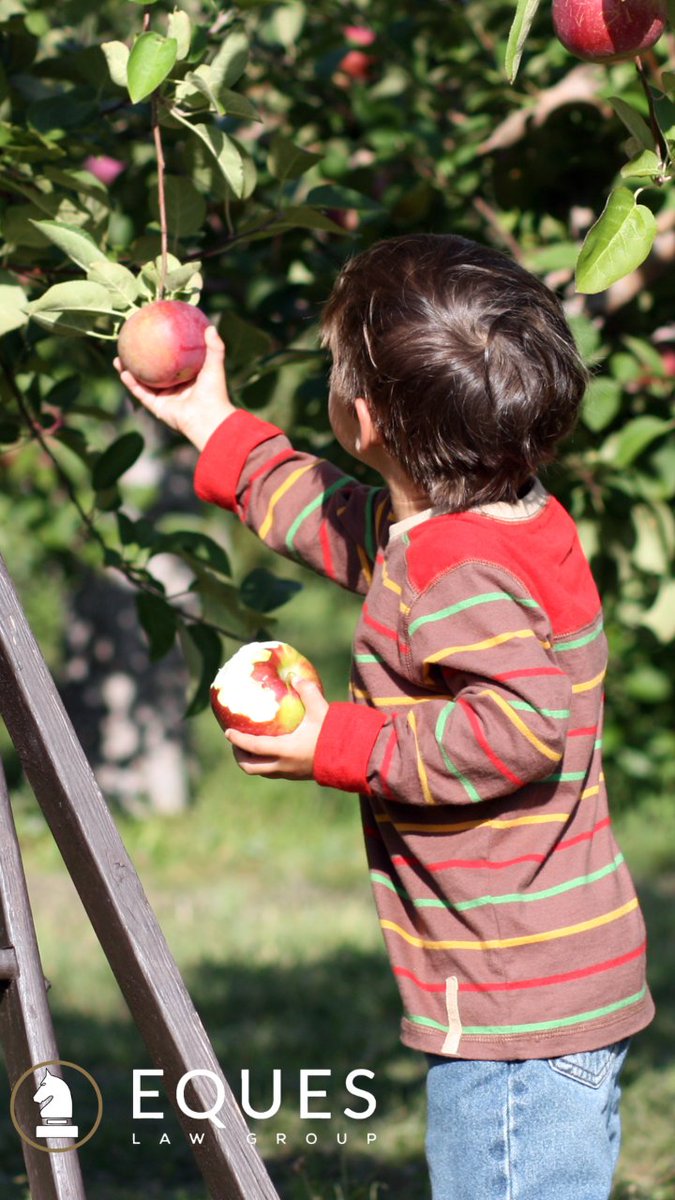 eques_law's tweet photo. Have all the apple orchards and pumpkin patches got you thinking? Hey - how do I start my own fall farm fun? Check out Attorney Robert Barga's 4 part series on starting your own Agritourism!
-
https://t.co/dwEvq8cT2G
#Agriculture #farm #AppleOrchard #PumpkinPatch #EquesLawgroup https://t.co/ZVdyW2ZviY
