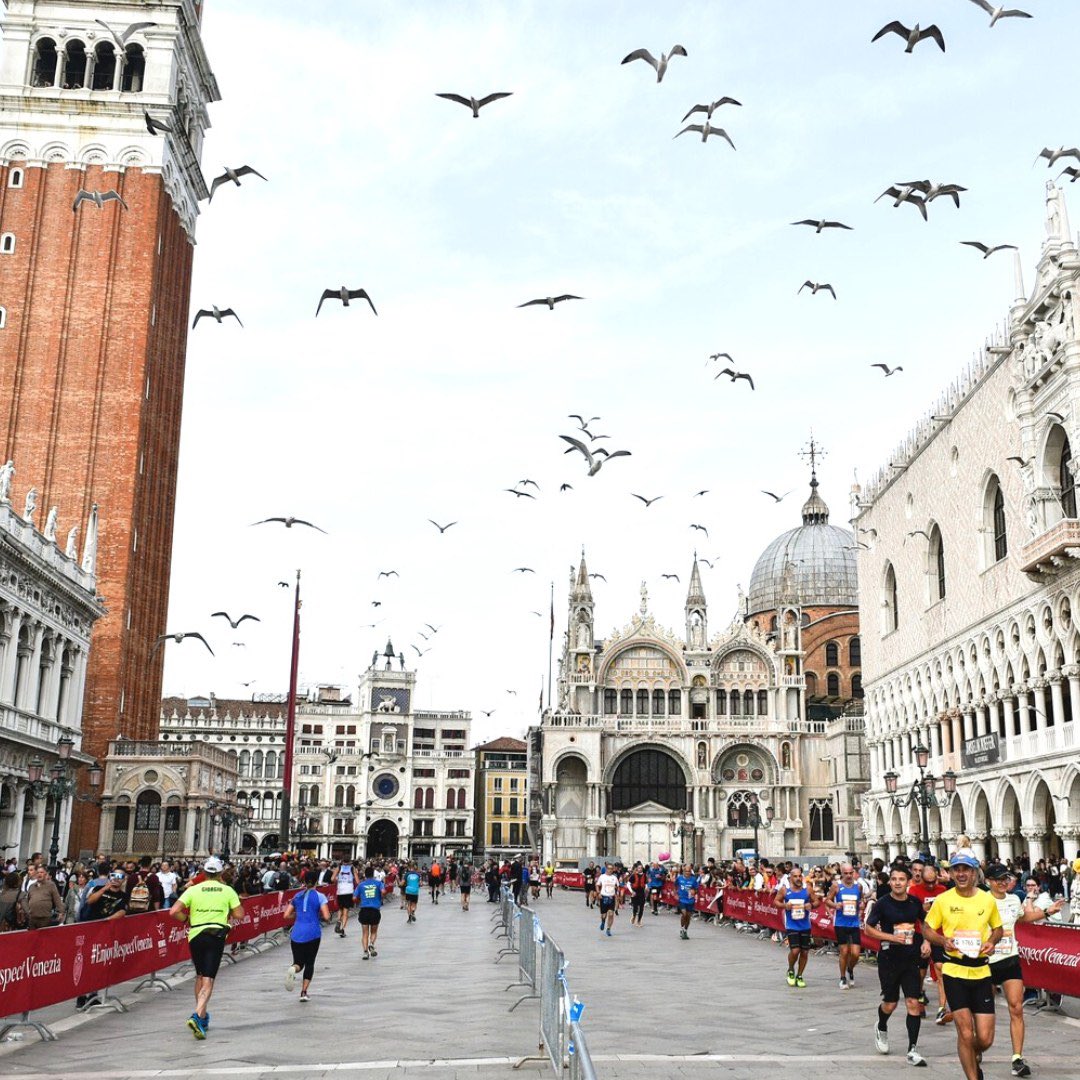 MUSEI DI VENEZIA tweet media
