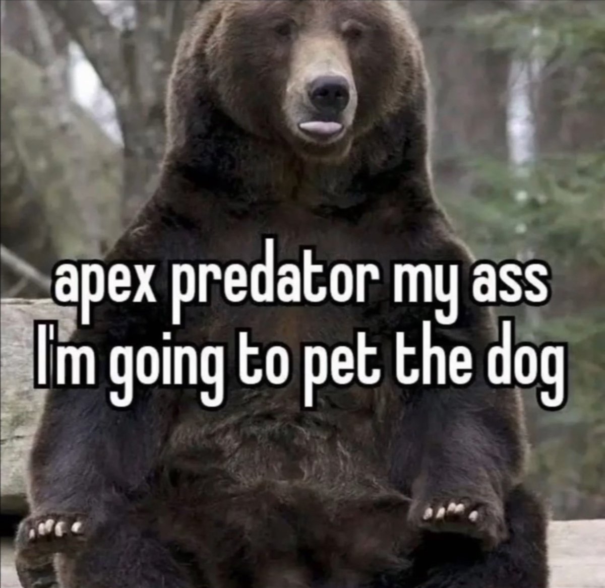 no context memes (@weirddalle) on Twitter photo 