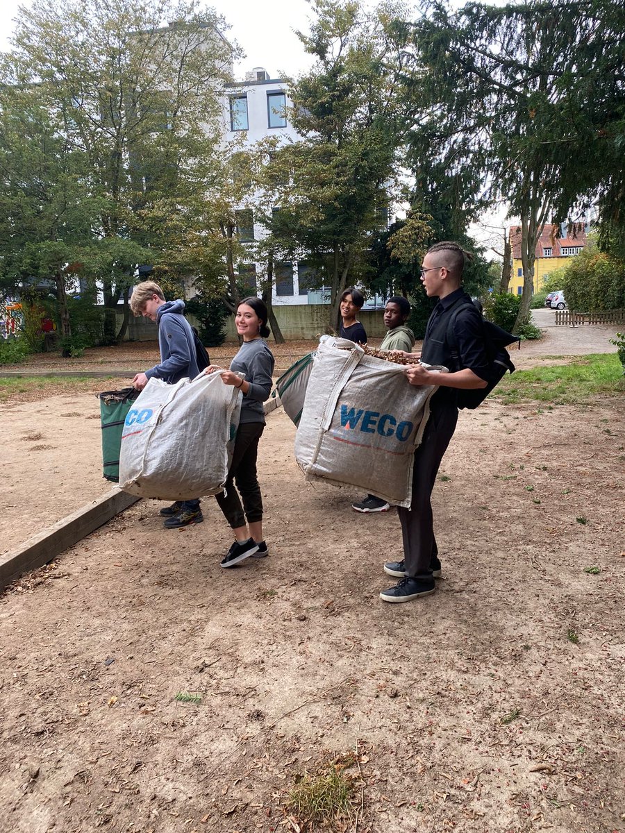 IBatHPC's tweet image. Last week, our #gardening club worked really hard in our school garden. A lot of work was done before the rain started. Thanks for your great effort!

#IBatHPC #BelongEngageGrow #IB #InternationalSchool #Heidelberg #education #internationalbaccalaureate #CAS #ServiceAsAction