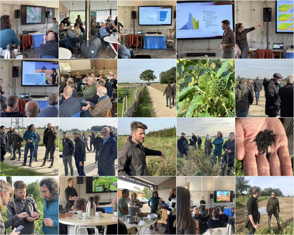 larsvanpeij's tweet photo. KENNISDAG: VEEL ENTHOUSIASME Het   @coll_deltaplan  heeft een dag georganiseerd om te leren van elkaar. En dat is zeker gelukt! Zoals altijd waren de beste discussies buiten in ’t veld en met de borrel.. #maasheggen @DeMaasheggen #anlb @BoerenNatuurNL https://t.co/ItqNTZeZKf https://t.co/29QlACfFM6