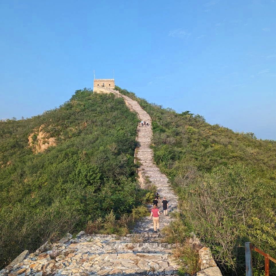 TheDragonTrip's tweet photo. Some snaps of our Dragons enjoying an exclusive view on the Great Wall of China - so peaceful and beautiful!

#thedragontrip #greatwallofchina #china https://t.co/HBTM2QkgY8