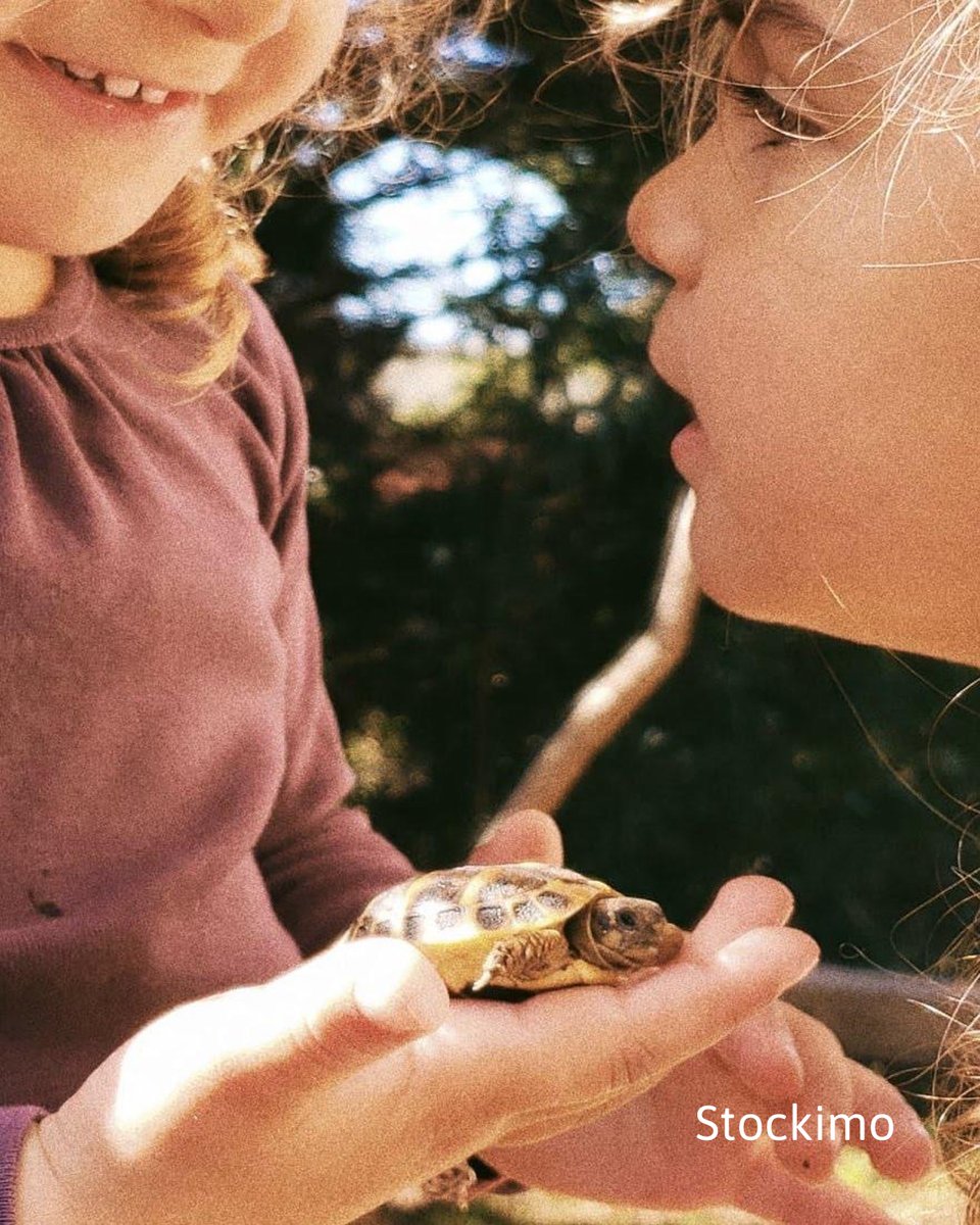 stockimo's tweet image. 4 out of 4 scores on the doors!

End off the week by perusing some of our most favourite photos that have come into @Stockimo HQ this year.

See all of our #PerfectScore photos of 2023 here: alamy.com/search/lightbo…

Image ID(s): S47NG7, S47JK3, S47AFD &amp;amp; S47PDF

#Stockimo #Friyay