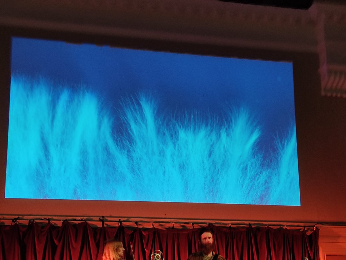 Institute of Molecular Plant Sciences tweet media