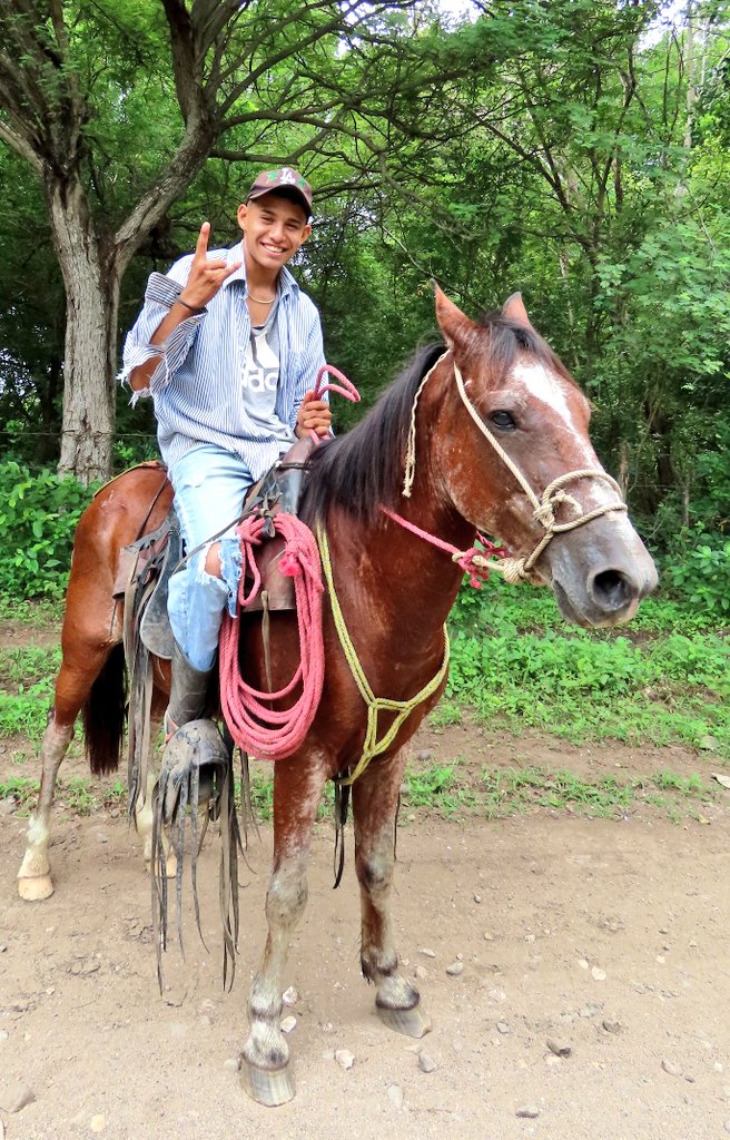 ReadingSFLA tweet media