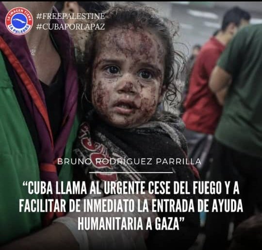 NairNaira1's tweet photo. @HoyPalestina Duele y mucho esta realidad.
#FreePalestine 
#DeZurdaTeam https://t.co/qIWC0kde1R