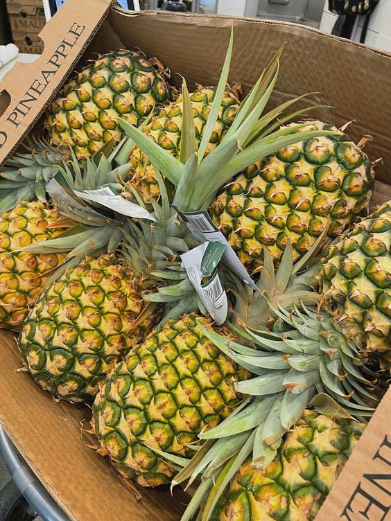 Are you a pineapple farmer in Uganda looking to export your produce to Lebanon, our Consular invites you to visit our liaison offices on Bukoto-Ntinda road opposite Middle East Restaurant to register your company for this opportunity or contact us on +256782000000.