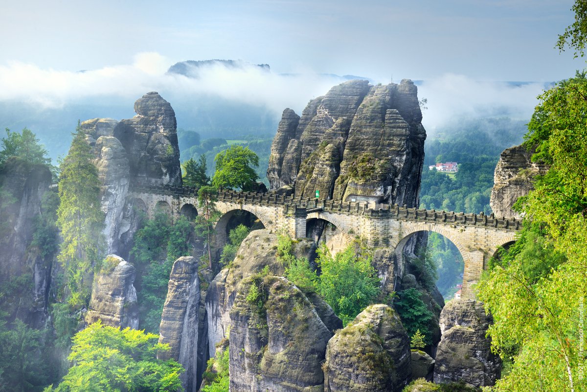 Visit Germany tweet media