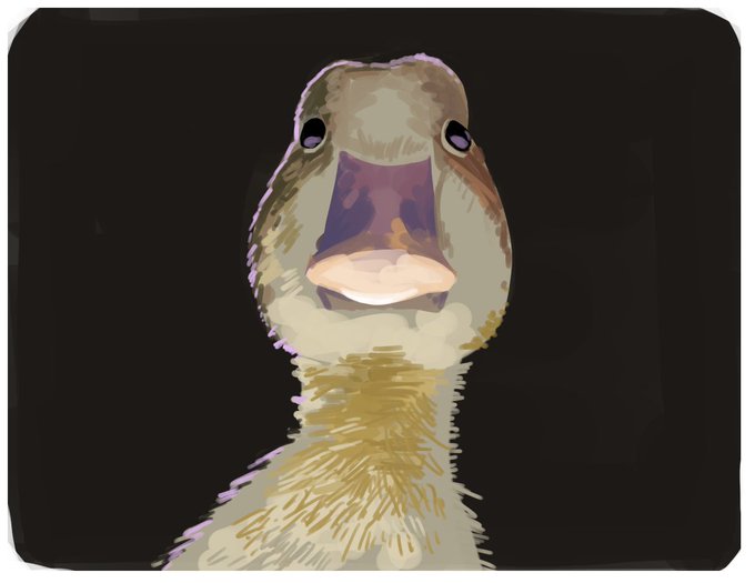 「bird what」 illustration images(Latest)