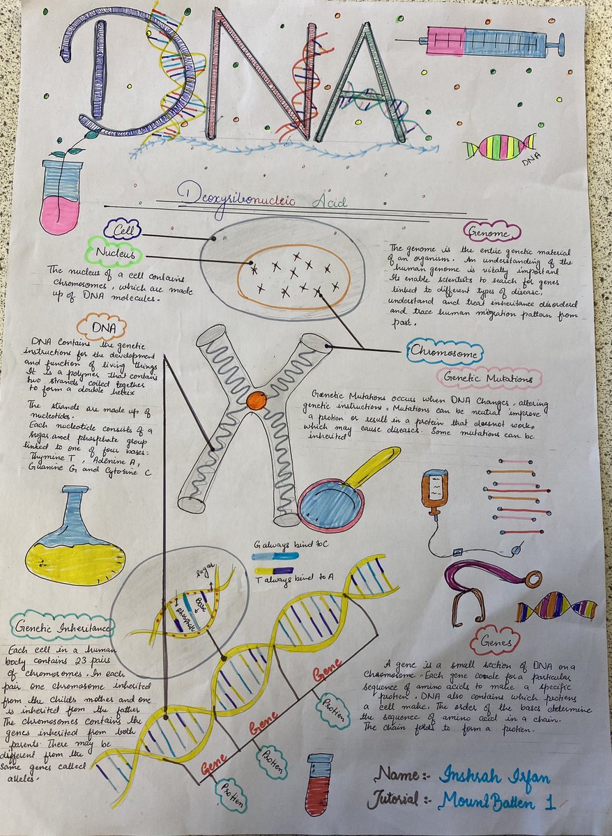 NewentScience's tweet photo. Biology Week🎉the quality of the entrants for the biology poster competition were amazing. The winner and prizes will be announced shortly… some of the pictures will be here for you to see #newentscience #newentschool https://t.co/hE92tuu6sW