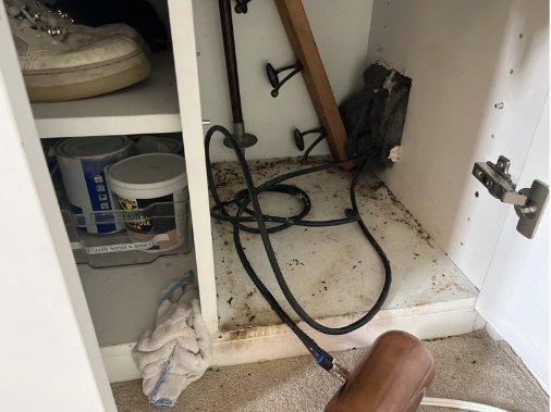 calsurv's tweet photo. Some of the issues identified this week - potential failure to balcony guarding, exposed electrical busbar, mice and a dirty cold water tank... we will seek out the things you may not find! 

#HomeSurvey #SafetyFirst https://t.co/8oXEyoZerS