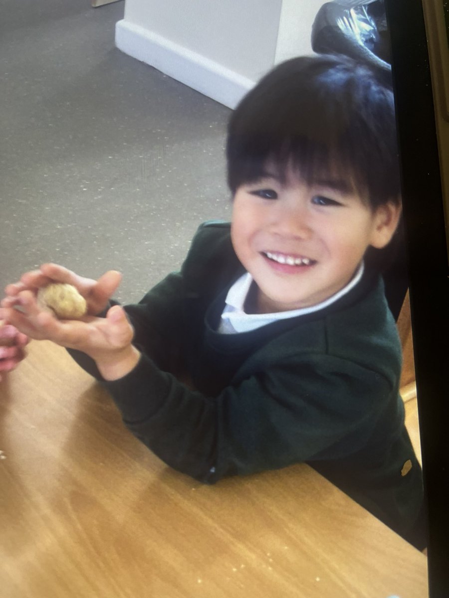 Meadowside Sunflowers Nursery tweet media