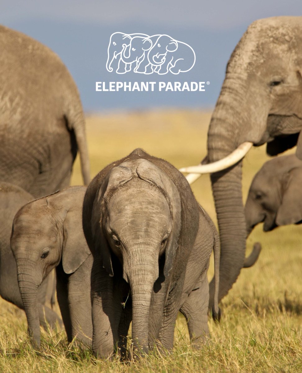 elephant_parade's tweet photo. Did you know...elephants depend on their ears for temperature regulation.
#funfactsfriday
#elephantparadefan #funfactelephant #elephantfunfacts #facts #funfacts #elephantparade #elephants #elephant #saveelephants #elephantlove #elephantconservation #exhibition #art https://t.co/vfkTdkzuJ5
