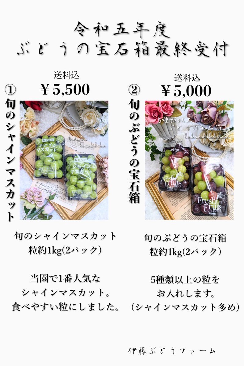 2100housekibako's tweet photo. 本日２１時より２０２３年路地物
ぶどうの宝石箱最終のご案内をします( ；∀；)✨✨
第267回プレゼントキャンペーン開催🍁

🍇応募方法🍇
フォロー＆
このツイートをリポストRT
〆切は２１日
土曜日２４時まで

【訳あり旬のぶどうの宝石箱 １ｋｇ】

抽選で限定５名様に
完全無料でプレゼント🎁✨

本日２１時より
ぶどうの宝石箱LINE公式アカウントにて受付を開始致しますので
ご登録してお待ちくださいm(__)m➡️ https://t.co/0f4CoowVsD