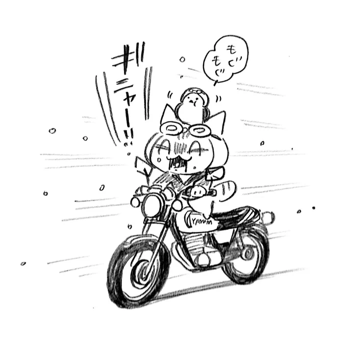 雪虫が口の中に入ってしまったニャン太。雪虫を積極的に食べるおもち。🏍️🐈️🕊️ 