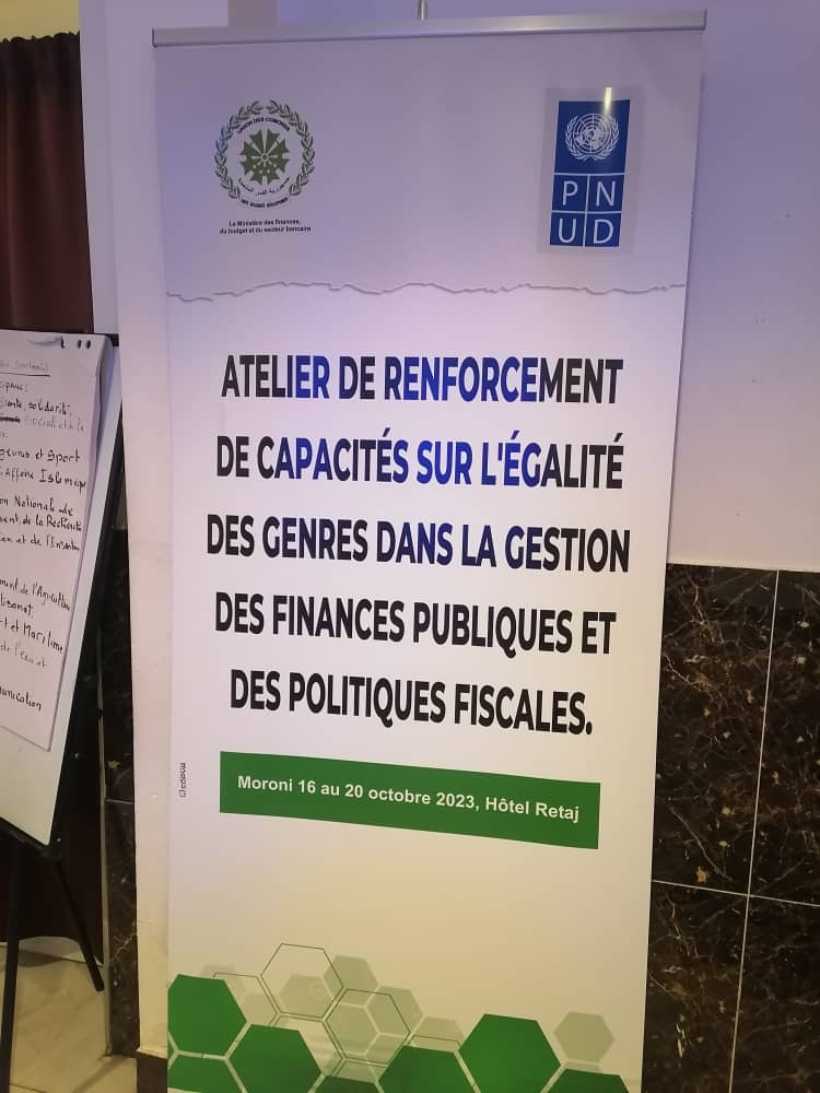 Atelier de renforcement de capacités sur l'égalité des genres dans gestion des finances publiques. 
<a href="/DGB/">DB</a>🇰🇲
<a href="/PNUD/">ONU Desarrollo</a>🇰🇲
<a href="/ICTB/">ISRAEL CRESPO</a>🇰🇲