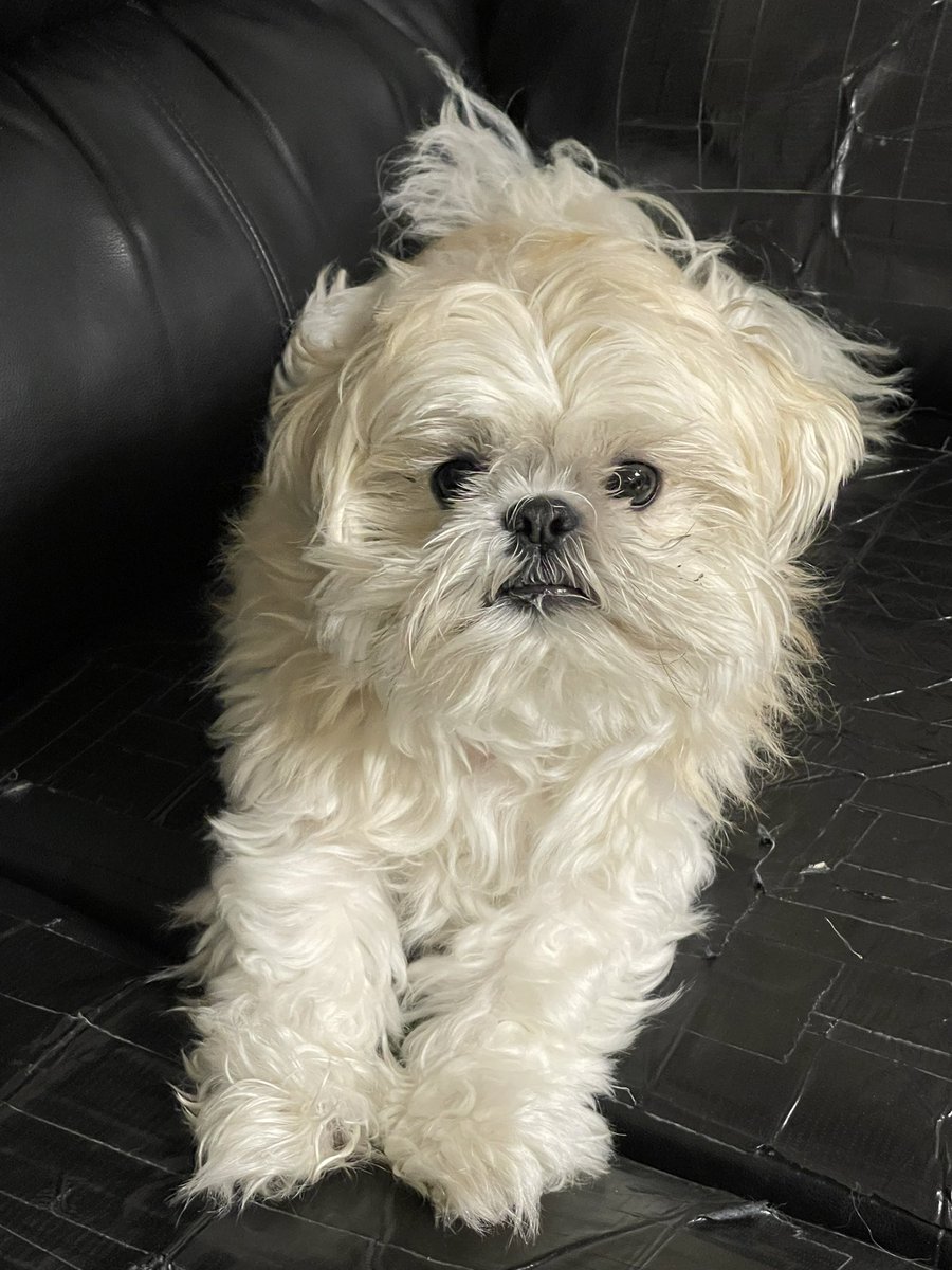 Happy Friday! It is a fantastic day! The new blink-182 album dropped today and it’s a banger, the new Spider-Man game dropped today and it is amazing, and I got to wake up to this…good day in the universe. Have a great day guys! #goodday #Friday #blink182 #SpiderMan2 #twitch