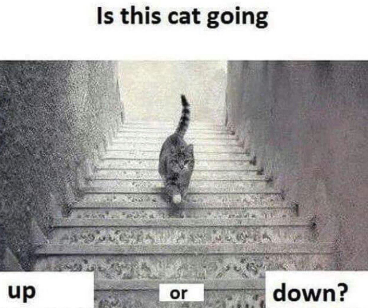 ShapeAndSymmetryLab@Liverpool tweet media