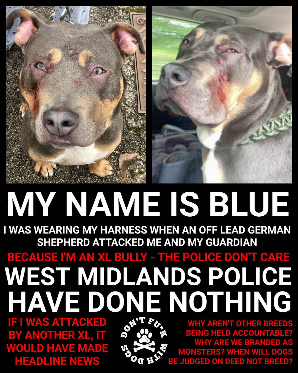 LaSiore's tweet photo. @WalsallPolice @WMPolice Just to know: why?
#DontFuckWithDogs
#stopbsl
#nobsl
#xlbullies https://t.co/UOz6W5WBeM