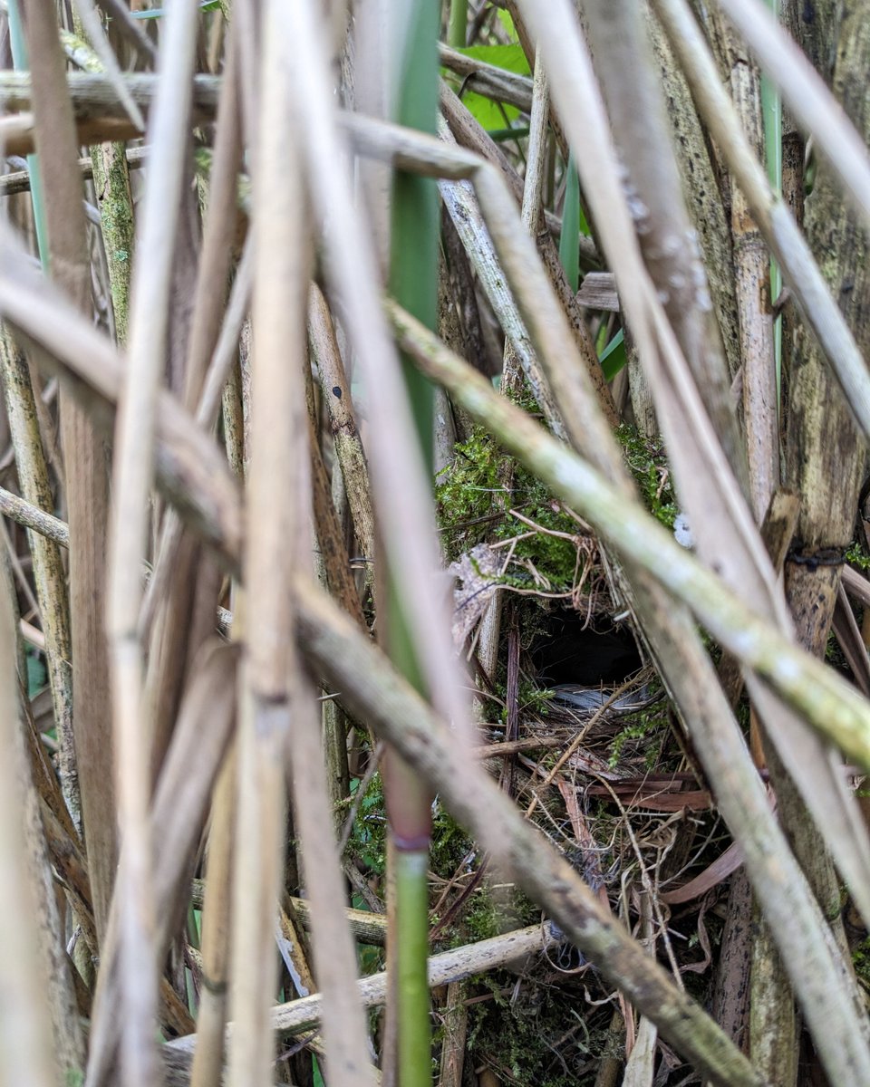 Dr. Vicky Austin tweet media