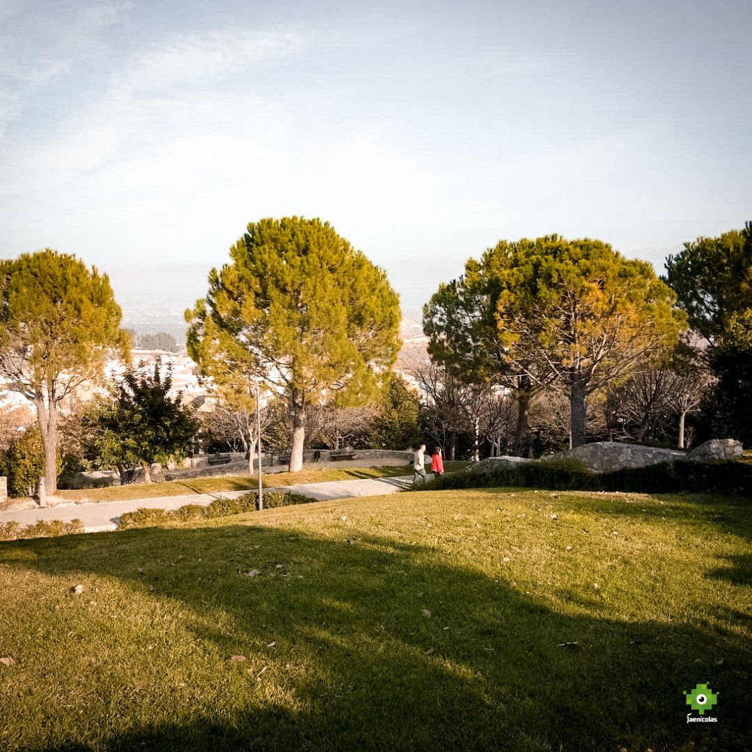 jaenicolascuchi's tweet photo. 🚨 ¡Cuchi te pone al tanto! 

Precaución durante este fin de semana, ya que se prevén altas rachas de viento ⚠️

Es importante que tengas prudencia y evites pasear por los parques o áreas con árboles dañados 🌳

#jaen #parques #viento #cuchiquetediga #jaenicolas #diputacionjaen https://t.co/rqO6kodSuy