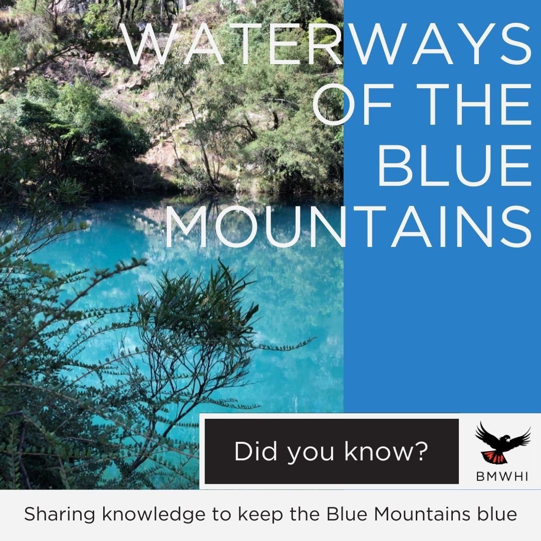 Did you know that most of Sydney's drinking water comes from the Blue Mountains and the Southern Highlands? 🚰 The Blue Mountains waterways are some of the most stunning and highly valued in Australia, supplying drinking water to over five million people! #water #bluemountains