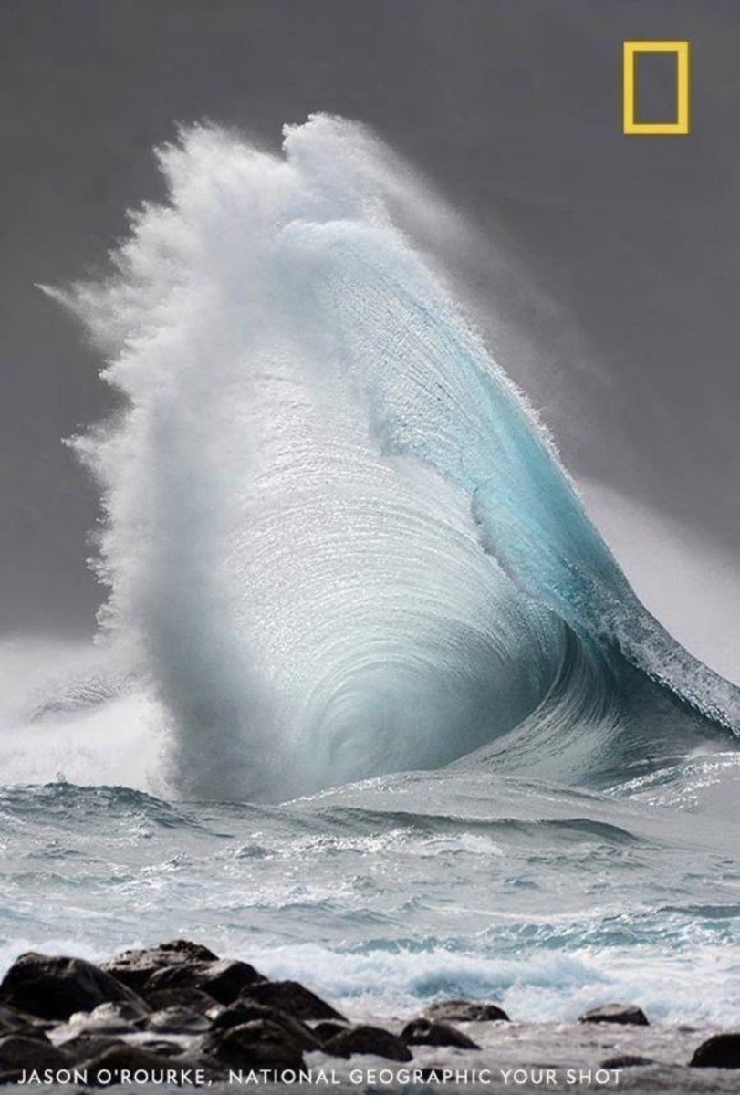 Jason O'Rourke tweet media