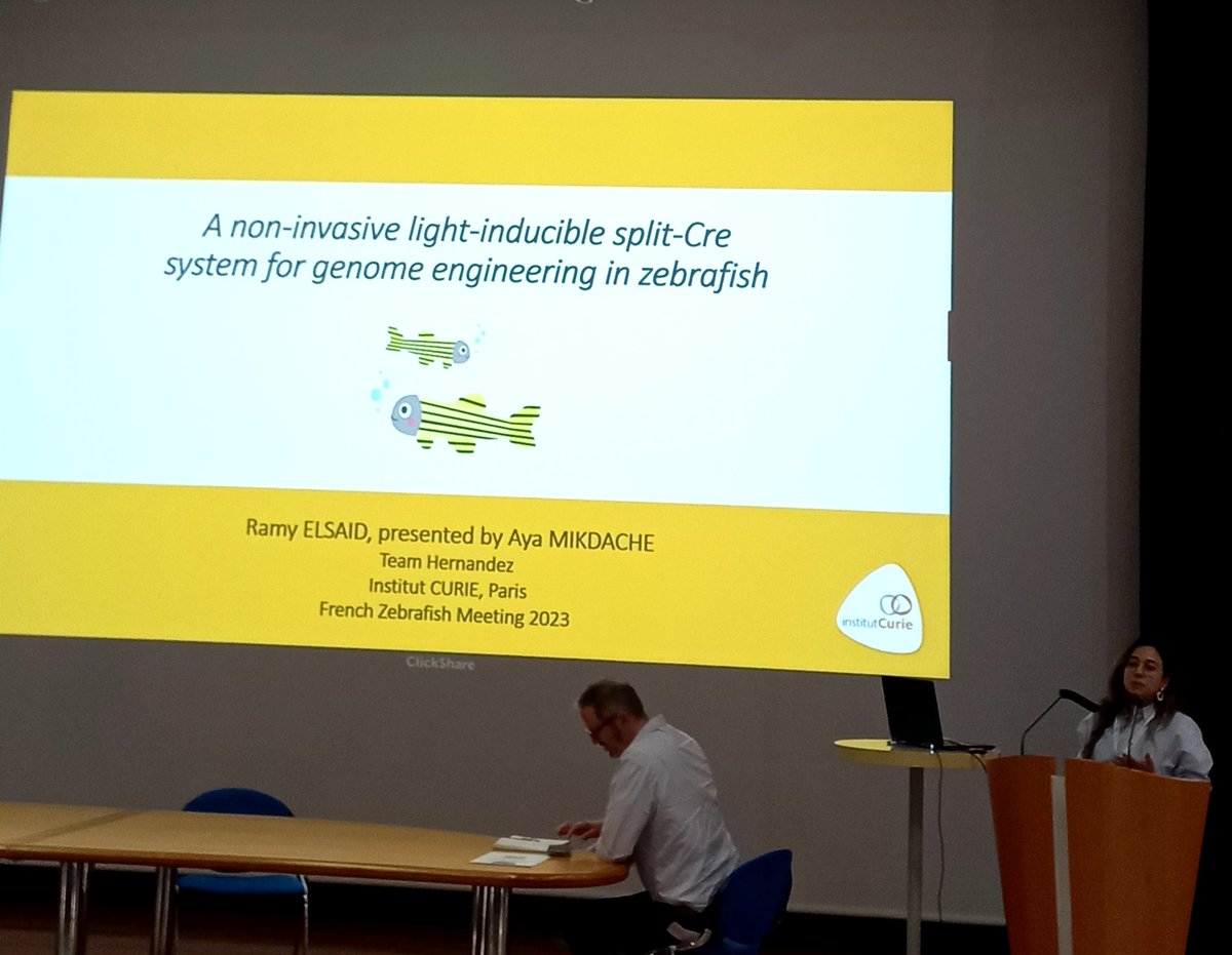 It was a great pleasure to share our work with <a href="/a_mikdache/">Aya Mikdache</a> at <a href="/FrenchZebrafish/">French Zebrafish Meeting</a> on creating the new optogentic Cre tool! An honor also that we won the best talk. Many thank to the community and grateful to their appreciation 🙏