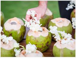 leciamaria's tweet photo. #GreenCoconut #CocoVerde #Vase #Vaso #Flowers #Flores #Garden #Jardim
#GetReady
#JesusIsComingSOON
#GodBlessYou
#PrepareSe
#BREVEJesusVoltará
#DeusTeAbençoe https://t.co/zQIhbVmq88