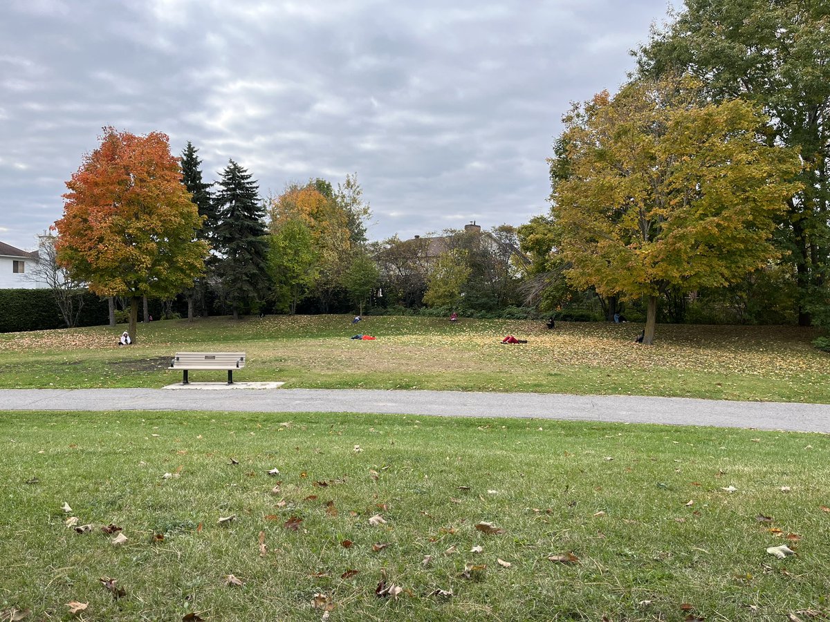 MmeLafrance's tweet photo. Take Me Outside was a big hit with the students this week! They loved doing the Sit Spots activity and using their senses to reflect on the beautiful natural environment surrounding our school. They can’t wait to do it again soon! #ocsbOutdoors #STMWolfpack https://t.co/mnJfKkCg9l