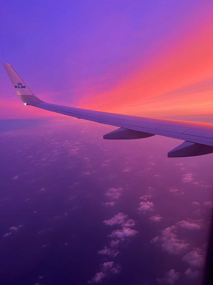 Matthew Hamilton tweet media