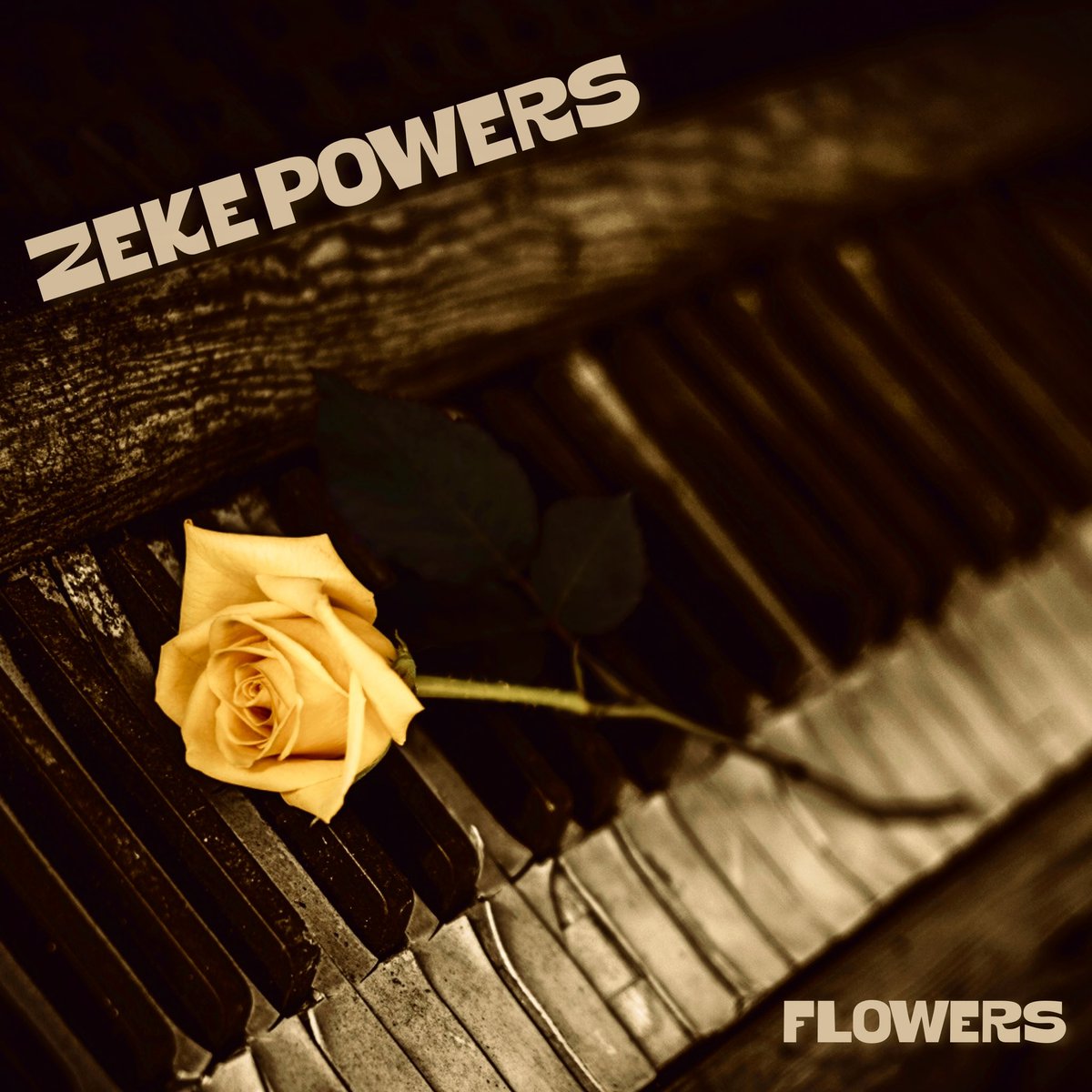 ‘flowers’ is out and streaming on all platforms #lofi #lofimusic #lofihiphop #chill #chillmusic #relax #music #canada #canadianmusic #canadianlofi #alberta #airdrie #calgary #banff #canmore #chillhop #study #studymusic #studybeats