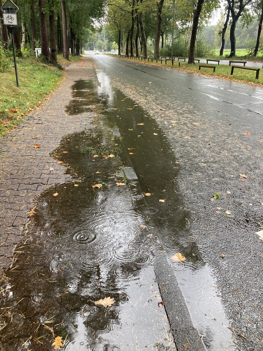 Ein bisschen Regen und schon ist die Kanalisation in #lingen überfordert / verstopft. Trotzdem wird auf dem Bau lustig immer weiter versiegelt als obs kein Morgen gäbe.Die Kurzsichtigkeit wird Lingen um die Ohren fliegen wenn Starkregen über mehrere Tage angesagt. #klimaanpassung
