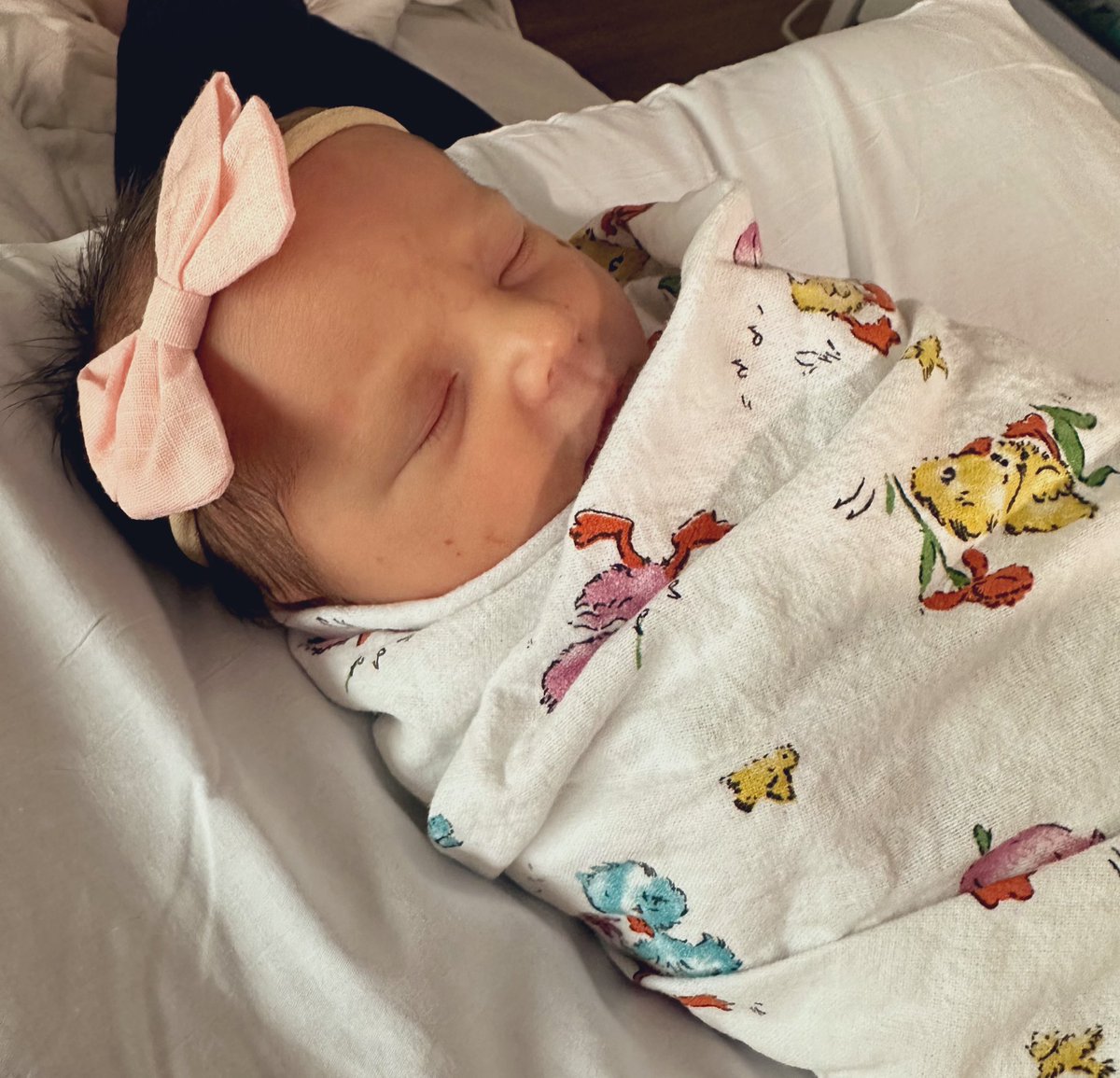 Sarah Kuranda Vallone tweet media