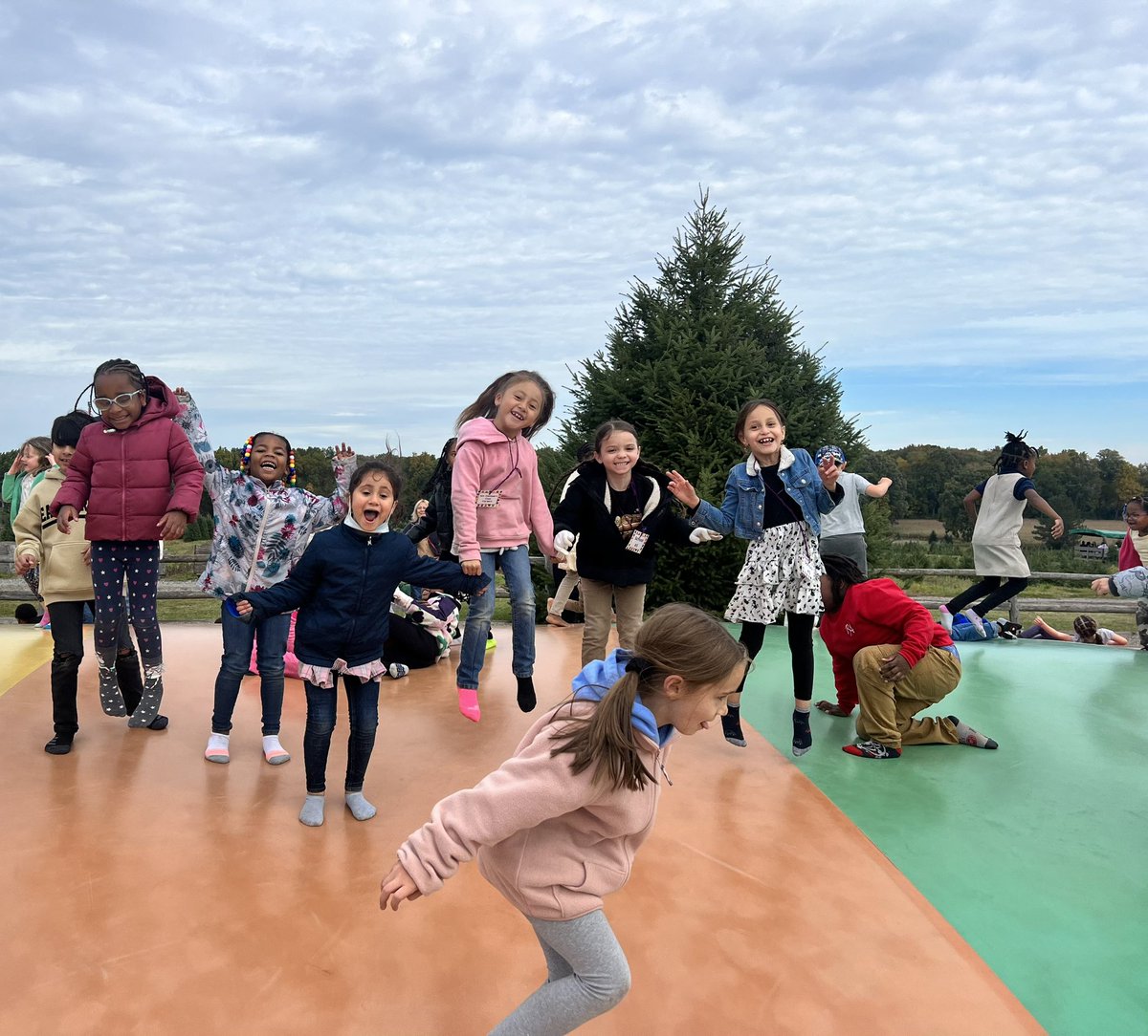 Adriana Rozestraten tweet media