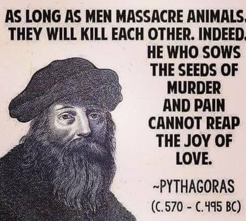 Vegan Future (@veganfuture) on Twitter photo 