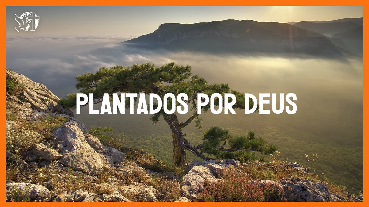 Jesus vai voltar | PLANTADOS POR DEUS | Bispa Cléo
youtu.be/NcKIkXOWmuo
