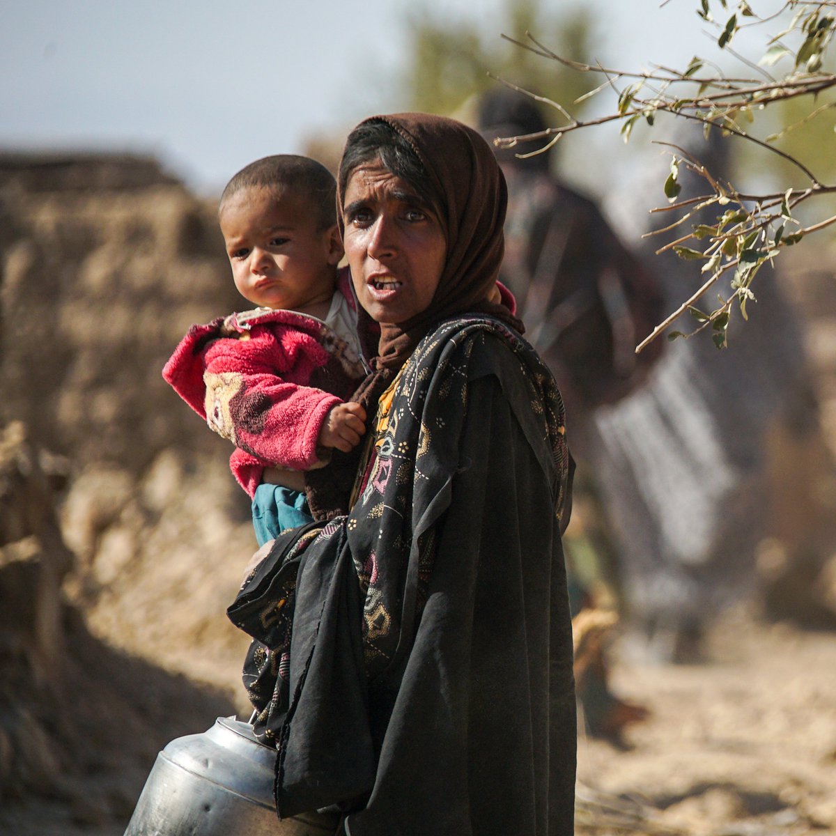 UNDPaf's tweet photo. Earthquakes have devastated Herat, #Afghanistan, leaving thousands of people in need of water, food, shelter, health care &amp; more. @UNDP, @WorldBank, @EUinAfghanistan, @ADB_HQ are jointly conducting a #PDNA to help them recover and #BuildBackBetter.

🔗https://t.co/rUDyeP1r0y https://t.co/A08VKHrTB0