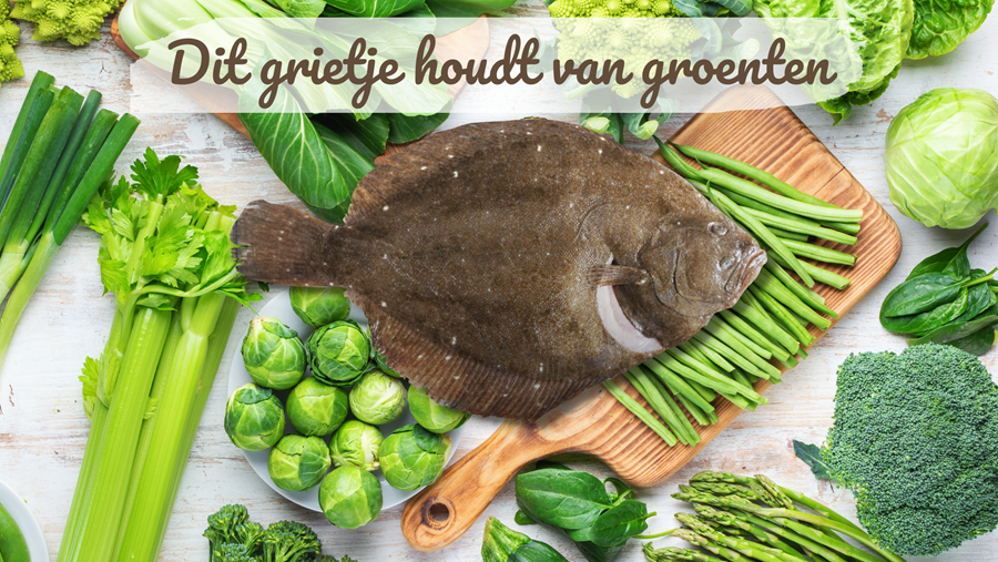 teamagronl's tweet photo. #VrijdagVisdag 🐟 #griet
👉 Doen! Vis & groenten in het seizoen 👌
Groenten in het seizoen kopen, heeft vele voordelen. Ze zijn betaalbaarder, de kwaliteit is dan top en de smaak op zijn best. Dit geldt niet alleen voor groenten, maar ook voor vis!
ℹ️ https://t.co/1x2DZO9Hqj https://t.co/tiw0sAopH2