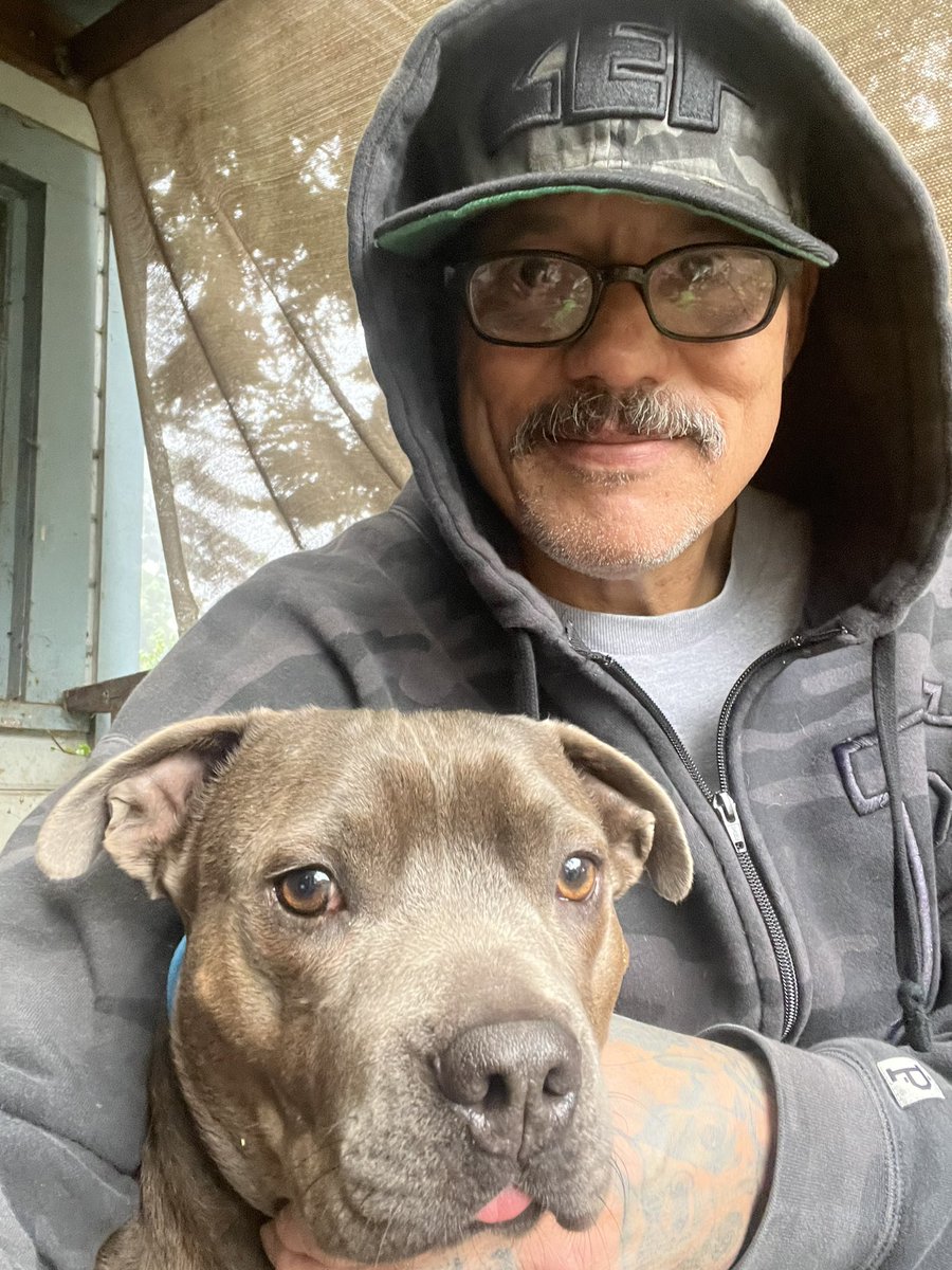 David Labrava tweet media