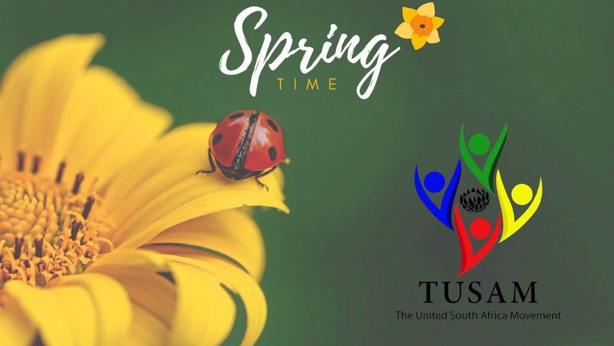 The United South Africa Movement - TUSAM tweet media