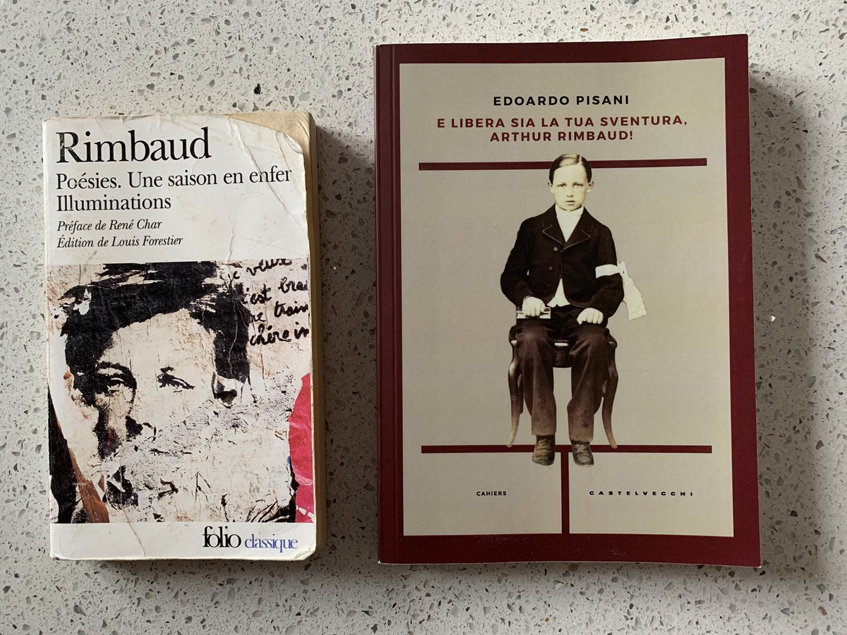 edoardopisani88's tweet photo. Oggi nasceva Rimbaud e quest’anno ho pubblicato un libro su di lui. Per festeggiarlo metto qui due pagine del mio libro; la prima è dalla parte biografica, quando Arthur finisce di scrivere la Saison, la seconda è un omaggio alle marionette di Guido Ceronetti e a Romain Gary. https://t.co/ujlh3A3aG9
