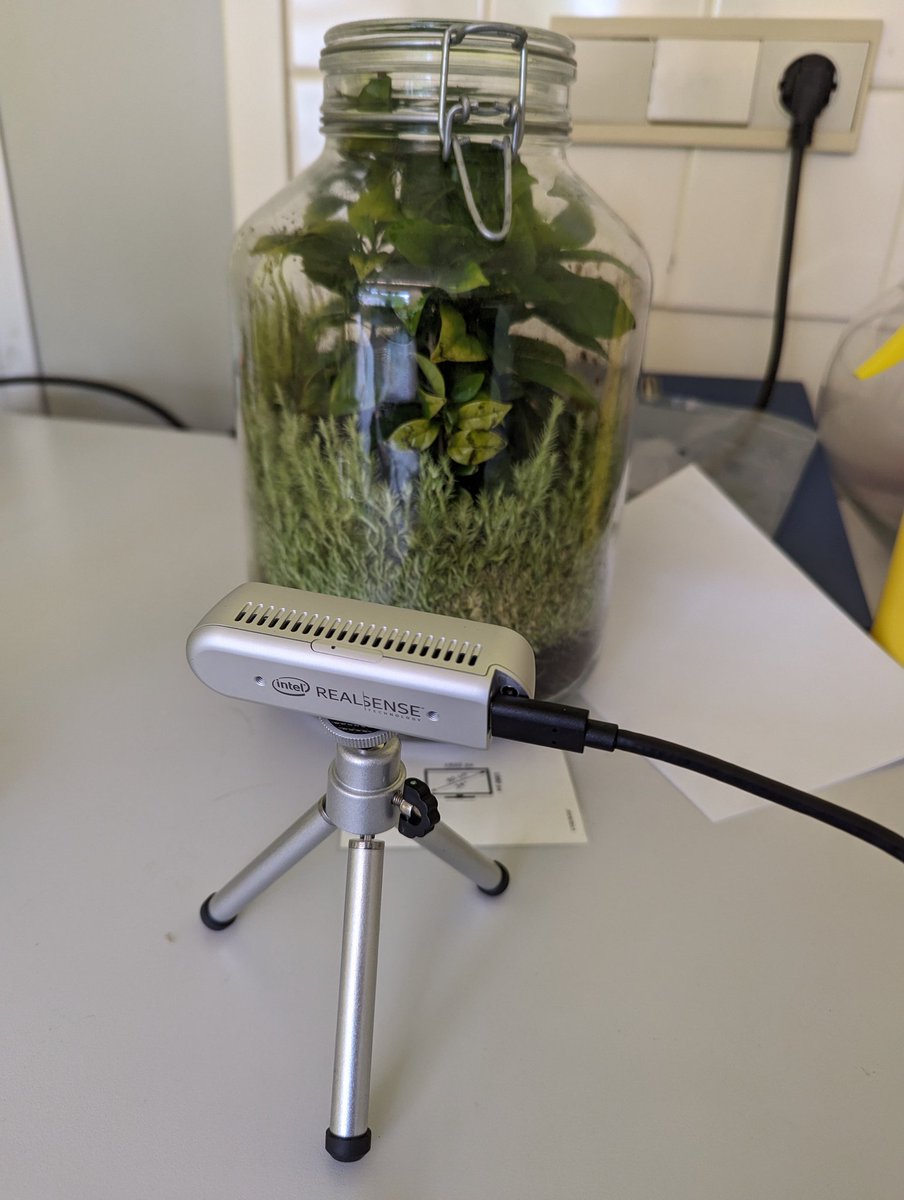 Joseph Mhango tweet media