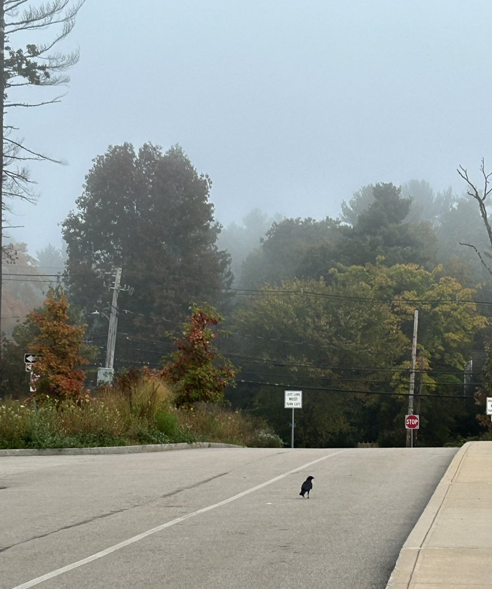 Michelle Apuzzio tweet media