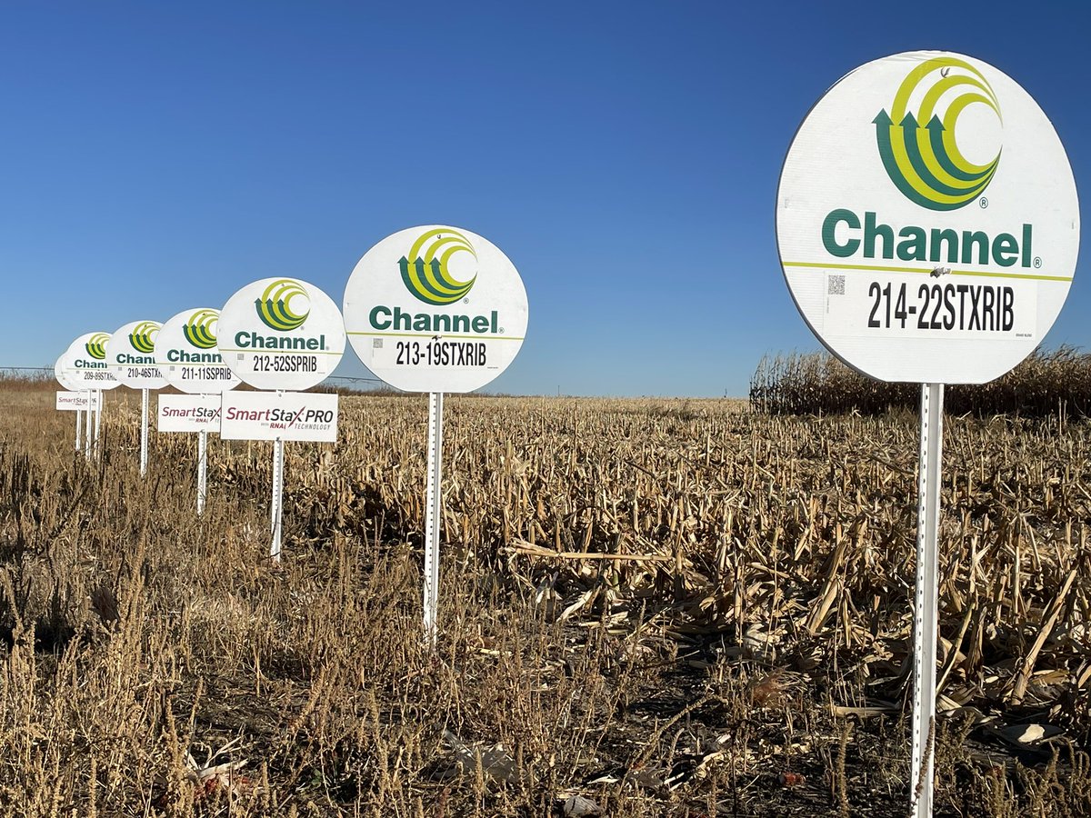ronrob84's tweet image. 🌽 @ChannelSeed Plot day in Kirk, Colorado. Thanks to @CDrullinger working with us! 

#channelingup 
#harvest23 @Channel_CO_WY
