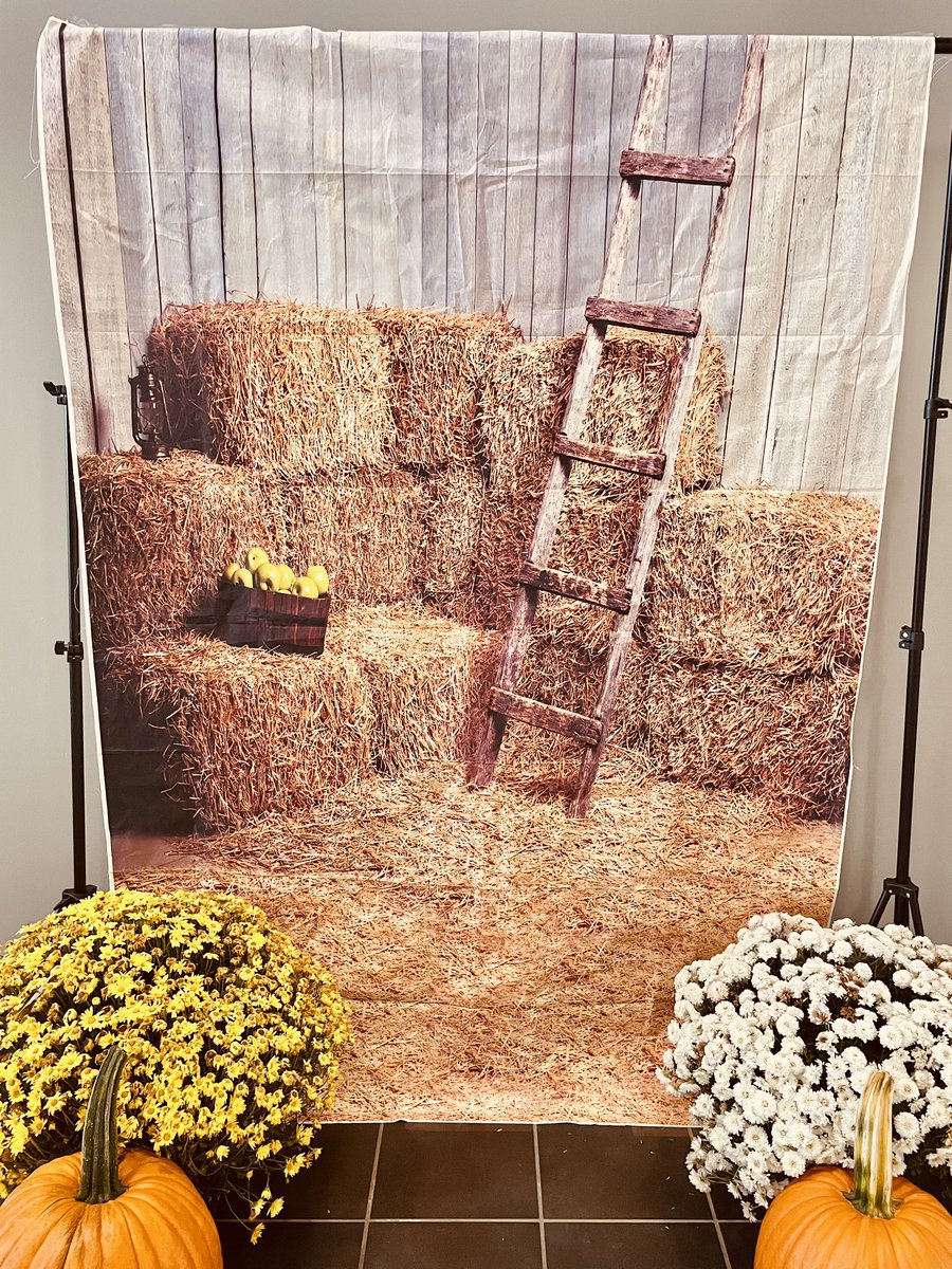 SWHS_FRYSC tweet media