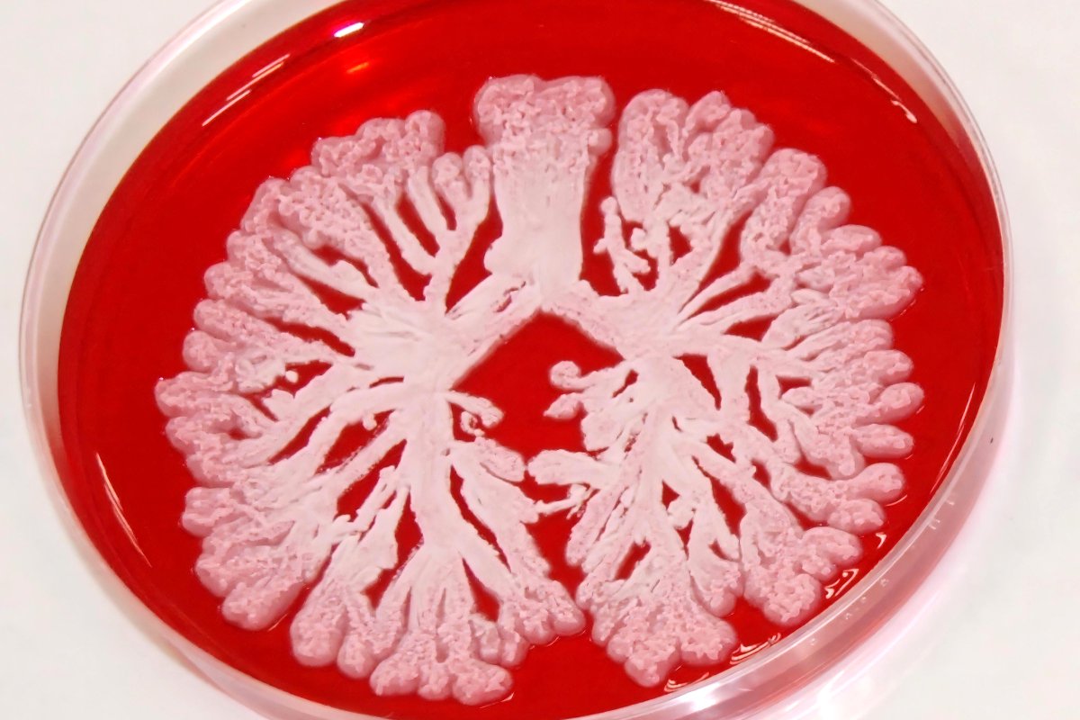 MilliporeSigma tweet media