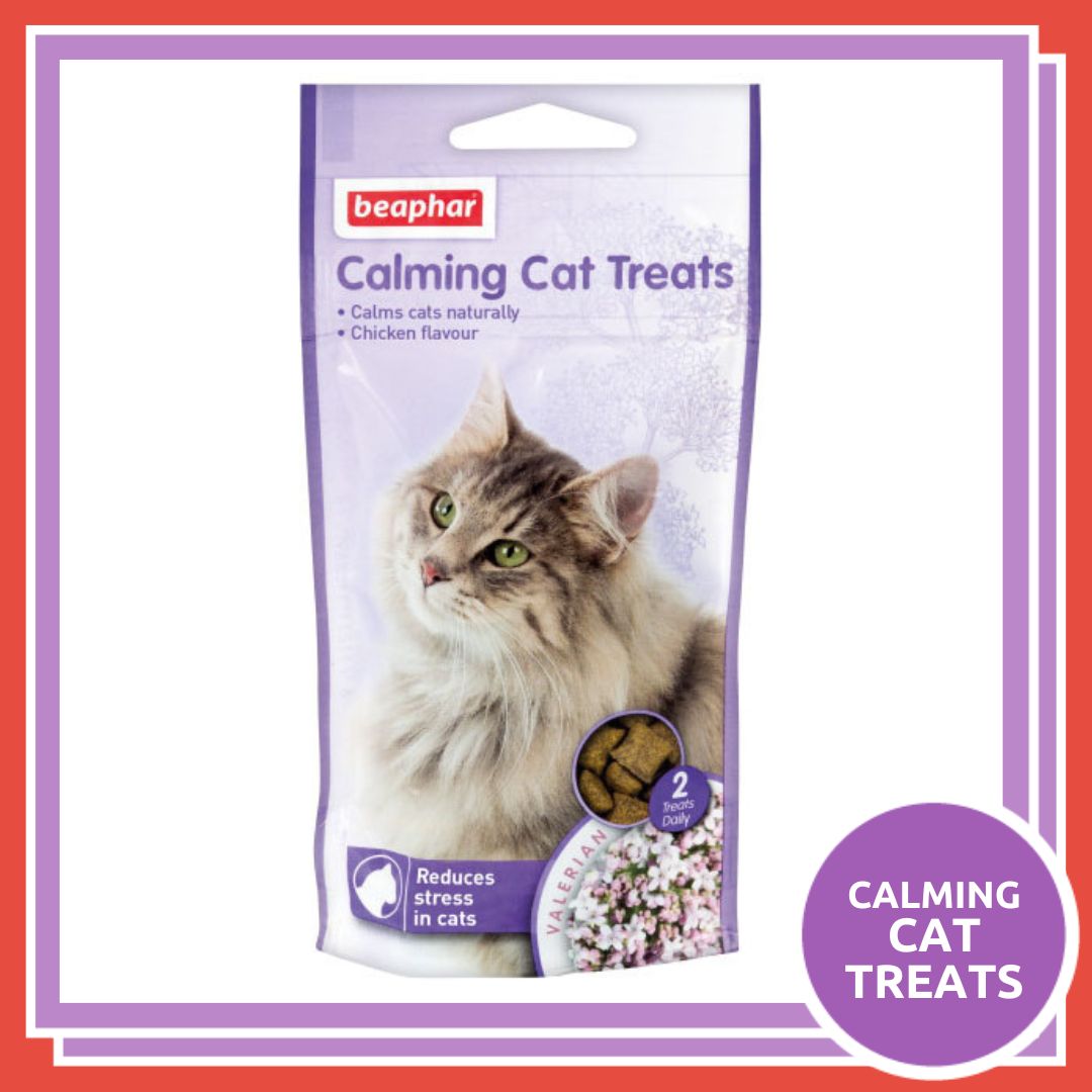 Rookes_Pets's tweet image. 🎆 Keep calm it'll soon be firework night!

With Halloween and Bonfire Night just around the corner, pop in store to shop our extensive range of calming comforts and help your pet keep their cool.

#fireworks #firework #fireworkshow #fireworksafety #anxiousdog #reactivedog